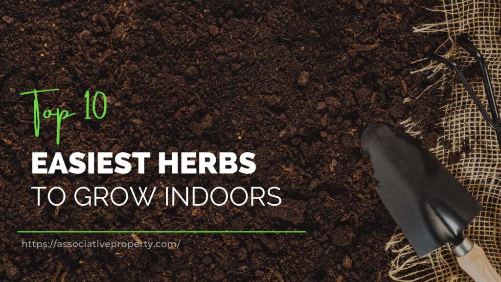 herbs those can easily grown inside