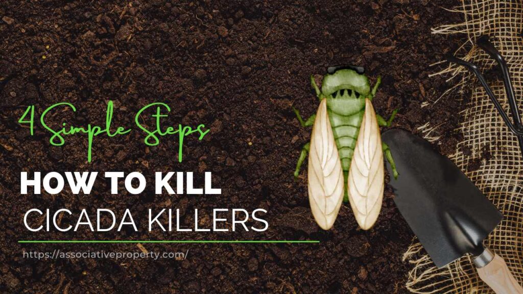 How to kill Cicada Killers