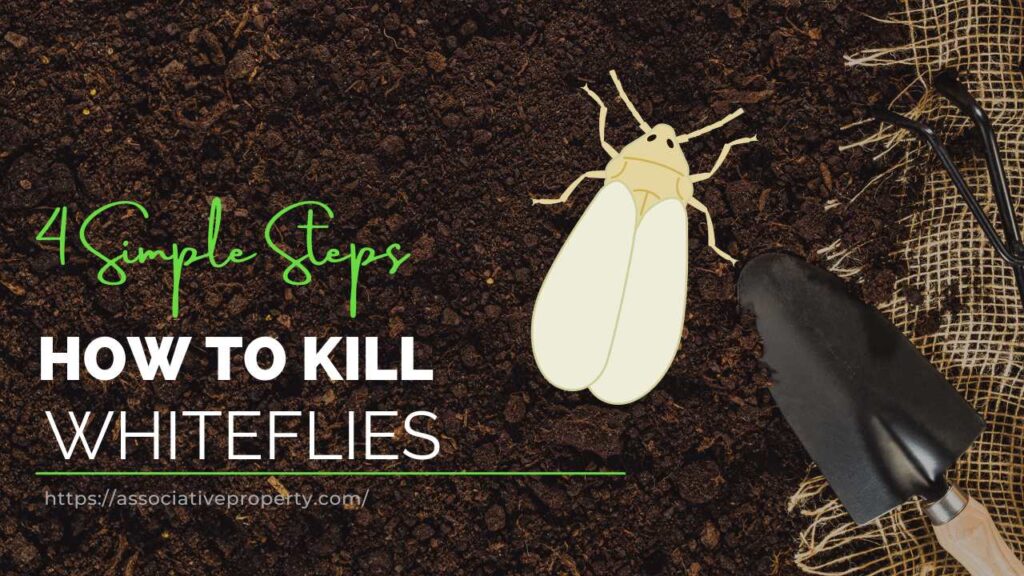 How to kill Whiteflies