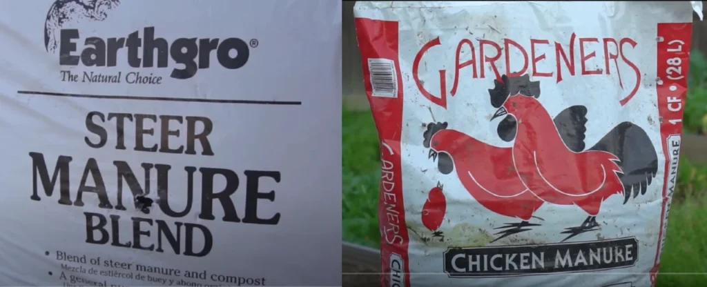 image of Cow manure & Chicken manure