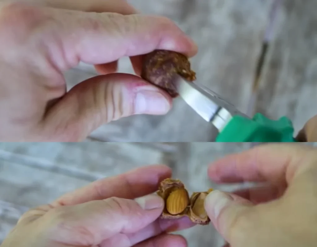 two pictures merged showing Cracking the Pit with wire cutter
