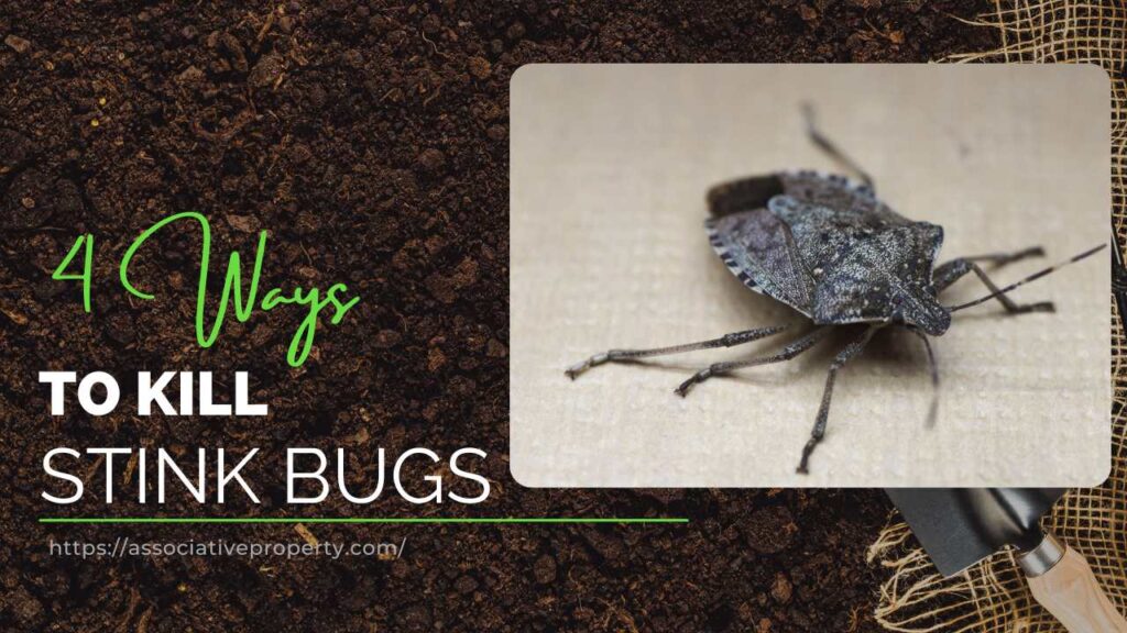 Close-up image of a stink bug with text overlay showing 4 ways on how to kill stink bugs, displayed on a soil background with a garden trowel.