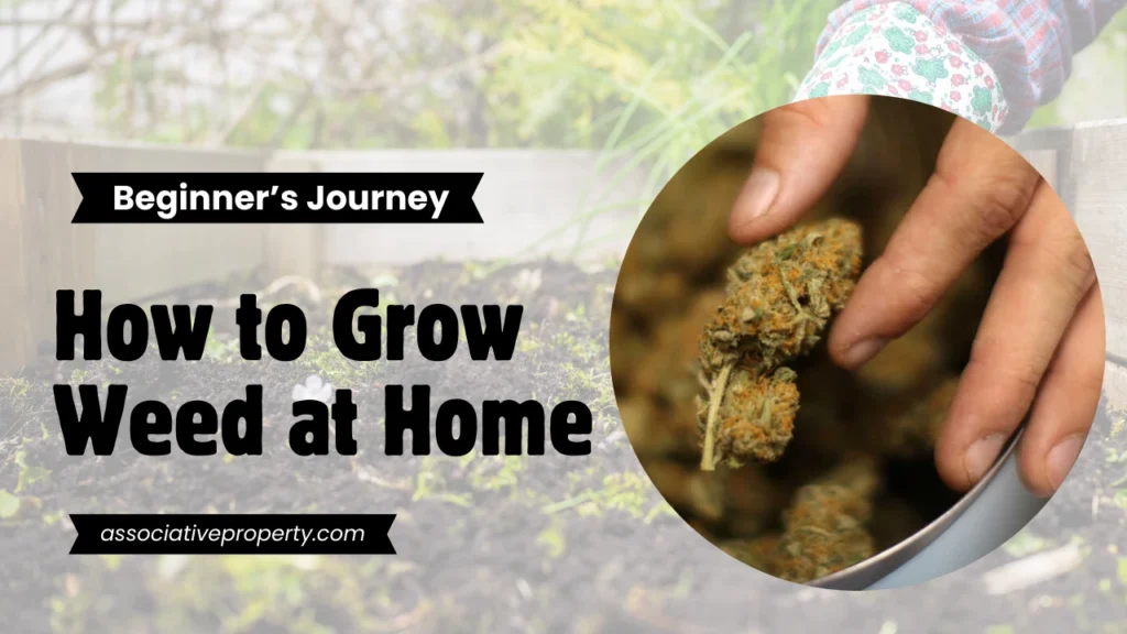 sharing personal experience of Growing Weed