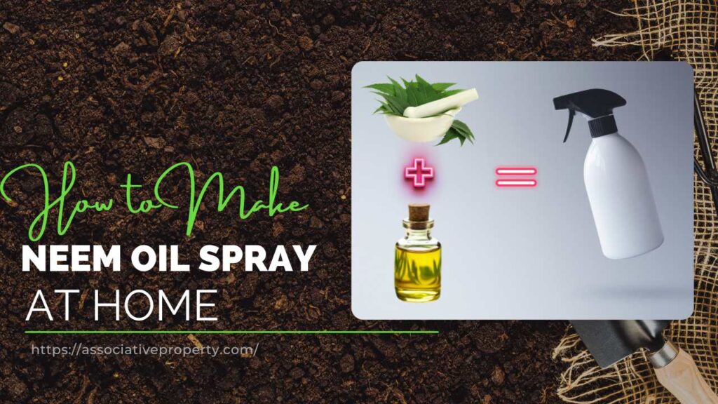 Step by step guide to make neem oil spray at home for plants
