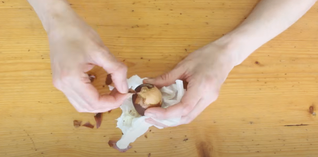 peeling the seed of avocado