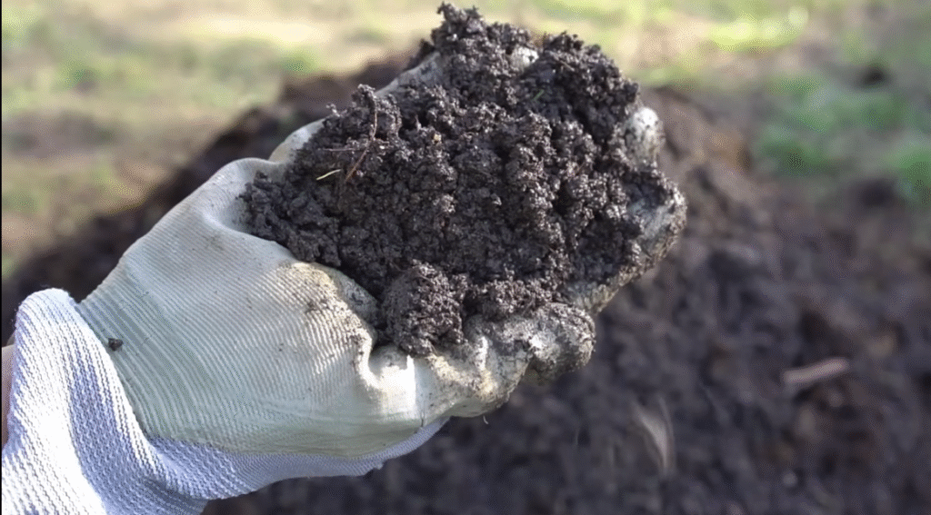 Hot compost