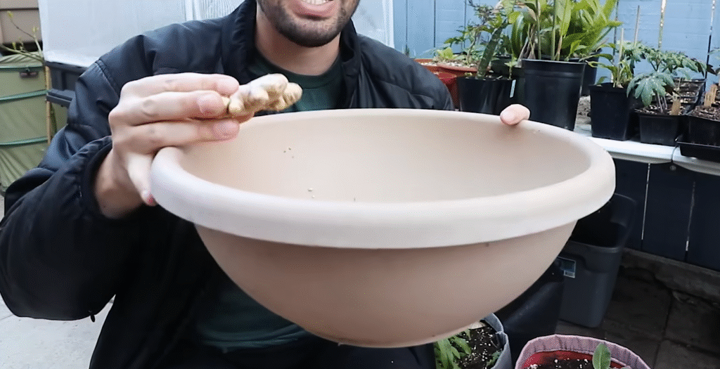 showing Container size