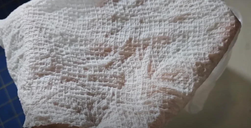Showing moist towel to place mango seed in it