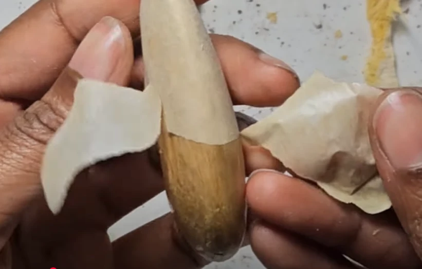 removing skin from the seed