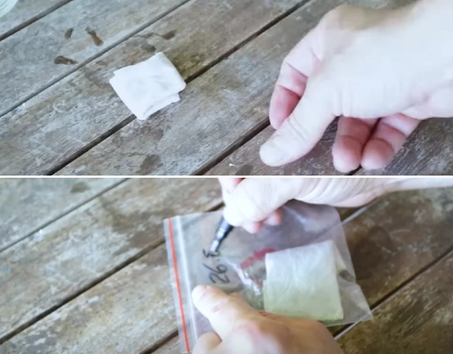 Wrapping up the seed and placing it in a ziplock bag or foil.