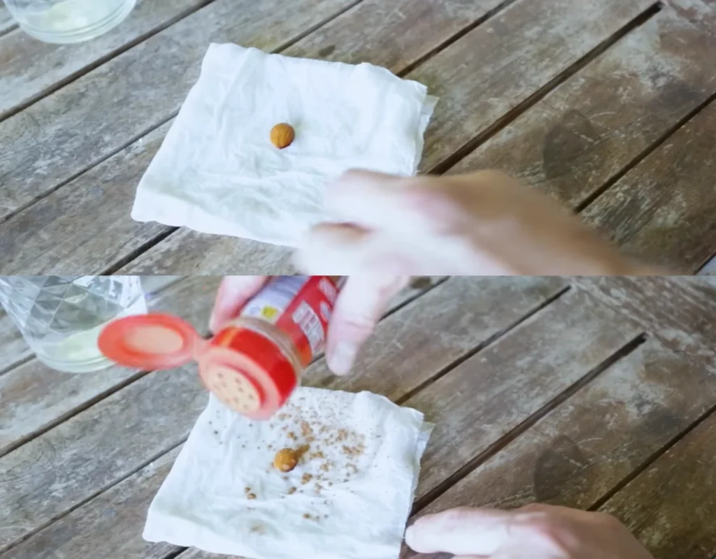 sprinkling seed with cinnamon powder